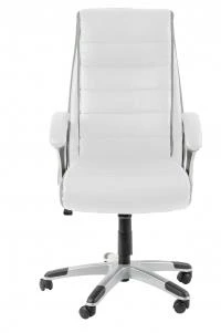 Y-2718 New Leather Executive Desk Chair for Home Office or Workplace